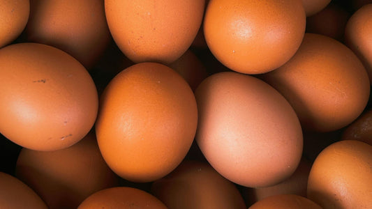 How to Order Farm-Fresh Organic Eggs for Weekly Delivery