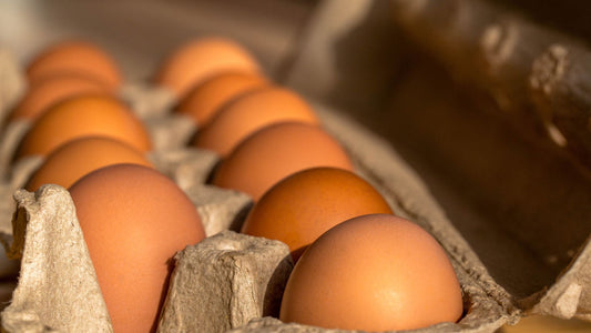 Premium Organic Eggs for Sale: Direct from Misty Meadows Farm