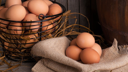 Organic Eggs Everson WA: Everson's Premier Organic Egg Producer - Misty Meadows Story