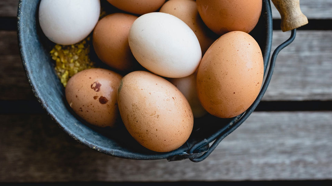 organic eggs Bellingham area