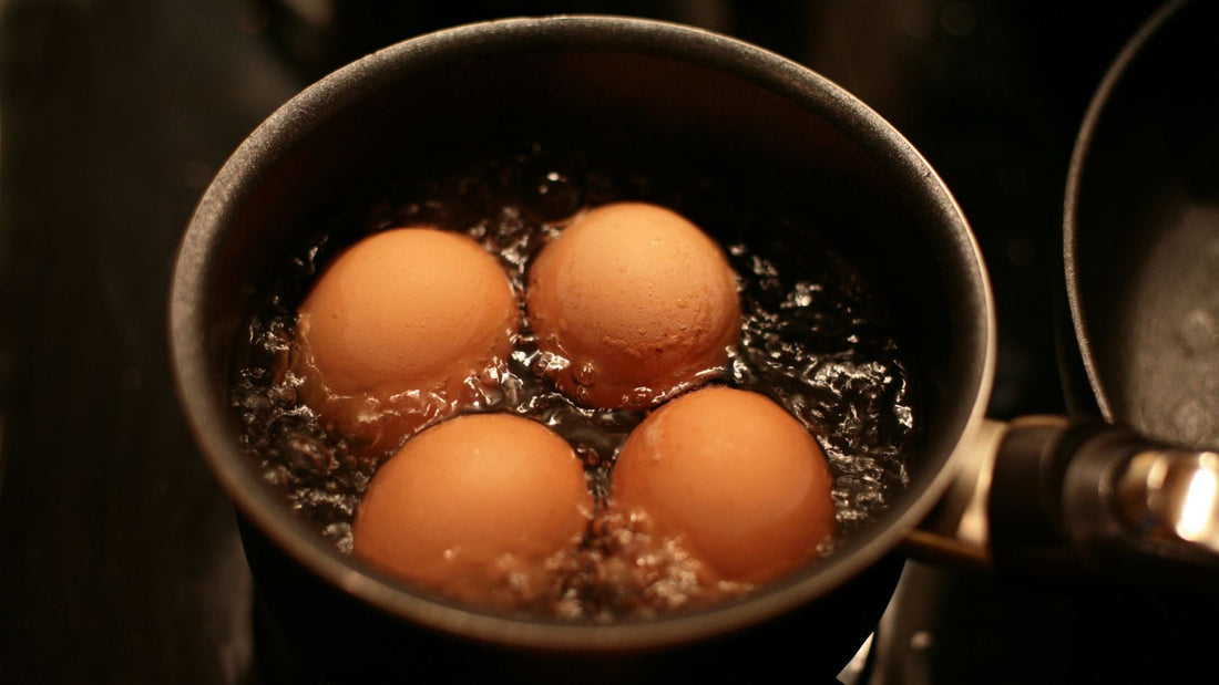 From Nest to Kitchen: Our Daily Egg Collection Process