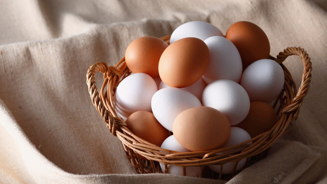 Pacific Northwest organic eggs