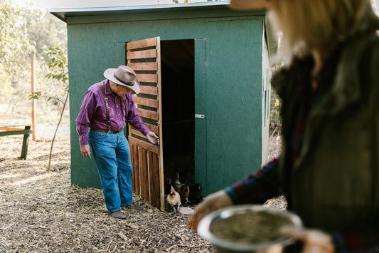 Pasture-Raised Eggs From a Family Farm That Puts Animals, Land, and People First