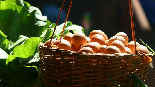 Community Farm Eggs: Building Better Connections