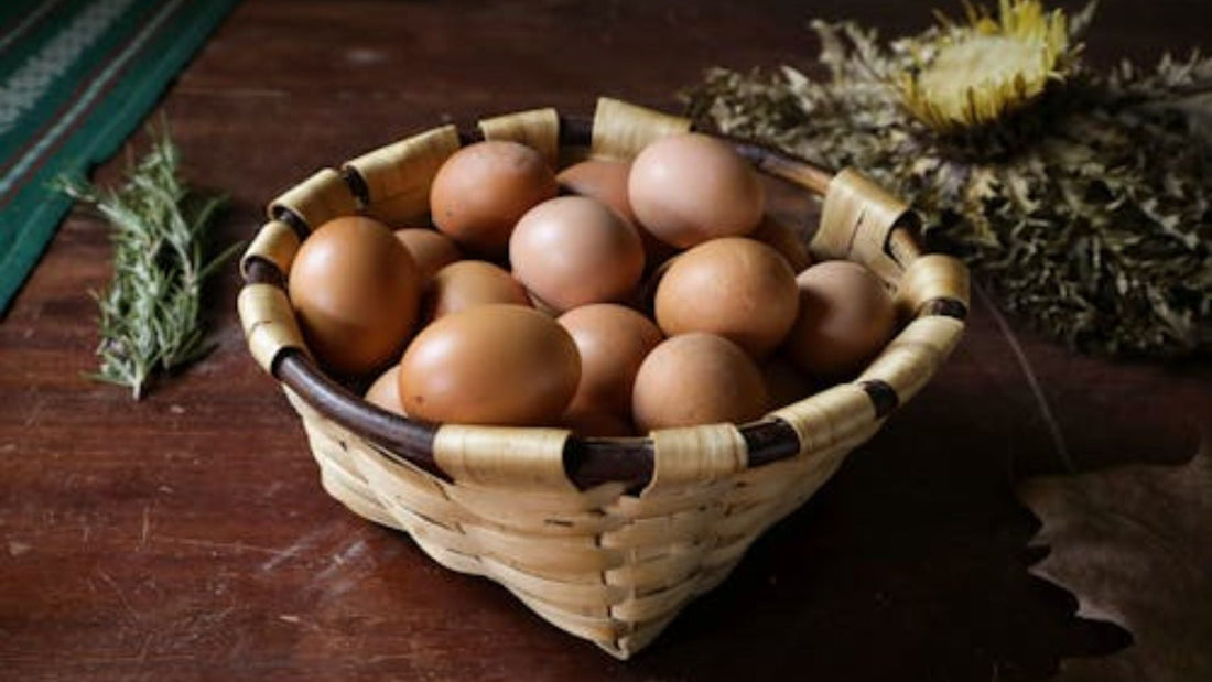 Farm to Table Eggs: The Shortest Path to Quality