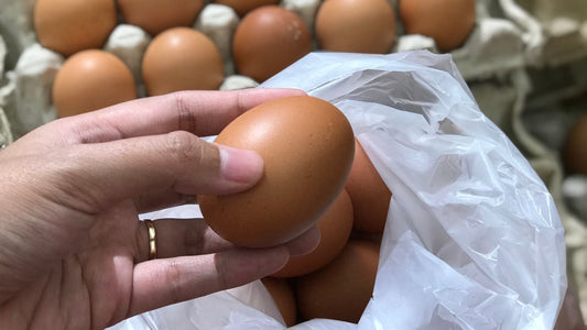 Order Farm Fresh Eggs: Your Step-by-Step Guide
