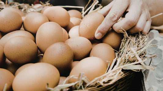 Farm Store Eggs: Why They're Different