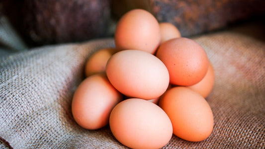 Pasture Raised vs Free Range: Understanding the Critical Difference