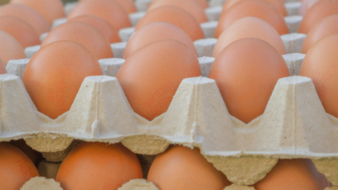 traditional farm egg