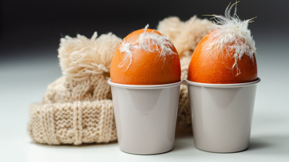 Farm Direct Benefits: Why Buying Organic Eggs from the Source Matters