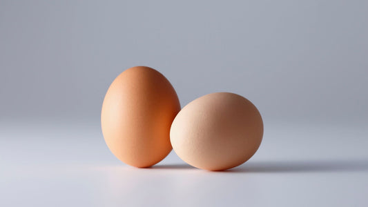 Convenient Pickup Locations for Fresh Organic Eggs