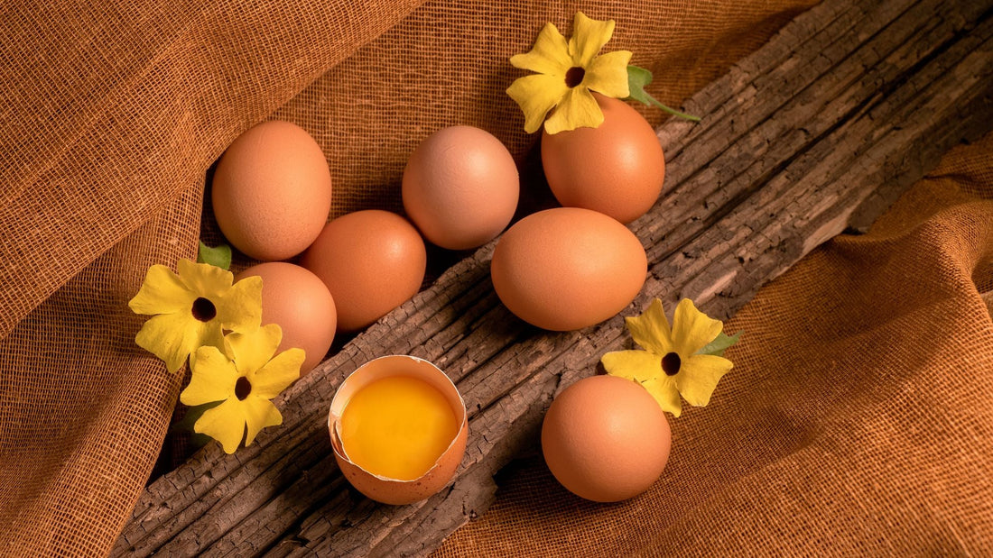 Weekly Organic Egg Subscription: Never Run Out of Farm Fresh