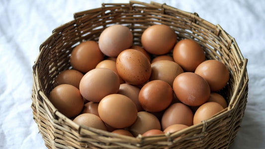 Bulk Organic Eggs: Restaurant and Family Quantity Pricing
