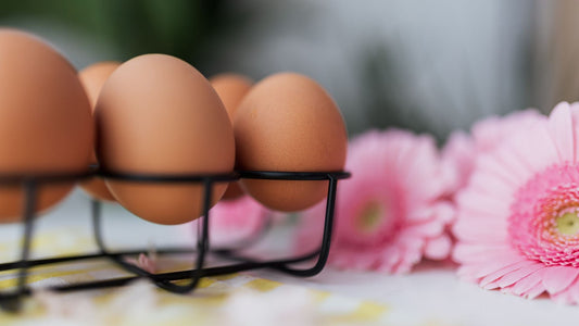 Top Quality Indicators: How to Identify Superior Organic Eggs