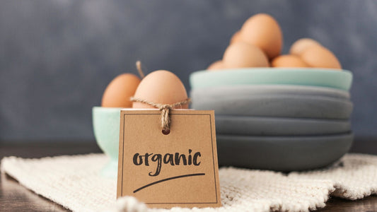 Best Organic Eggs in Washington: Independent Quality Comparison