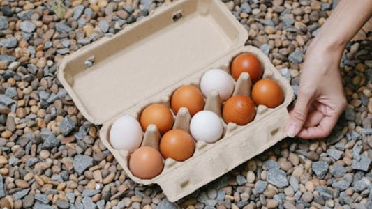 Grade AA Standards: Why Our Organic Eggs Consistently Excel