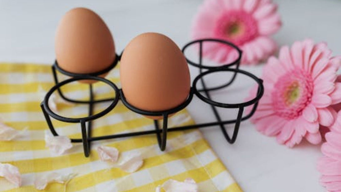 Restaurant Quality at Home: Professional Grade Organic Eggs