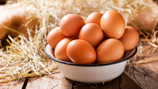 Today's Harvest: Why We Only Sell Today's Eggs