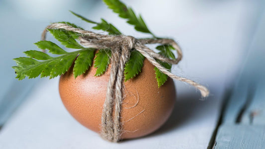 Nooksack Valley Farm Eggs: Fresher Than Fresh