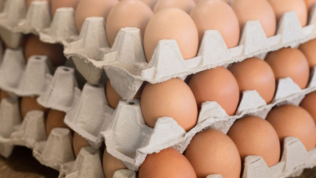 Ultra Fresh Standards: How to Define and Spot True Egg Freshness