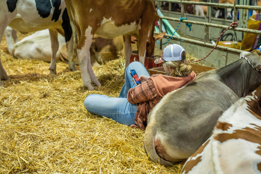 Animal Friendly Eggs: Why the Farmer-Flock Relationship Changes Everything