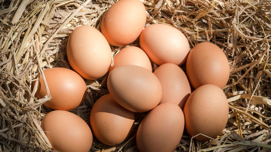 Daily Fresh Guarantee: How We Maintain Peak Egg Quality