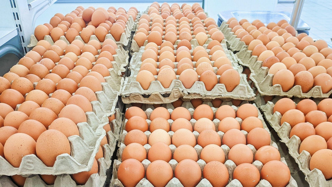 Farm Direct Advantage: Eliminating Steps for Ultimate Freshness