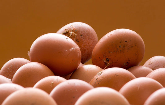 Happy Chickens Lay Better Eggs The Science of Stress-Free Production