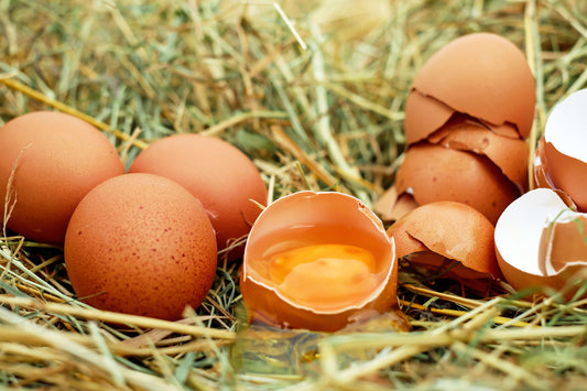 High Protein Pasture Eggs: What the Full Amino Acid Profile Tells You