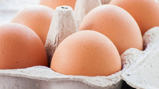 True Pasture Raised Eggs
