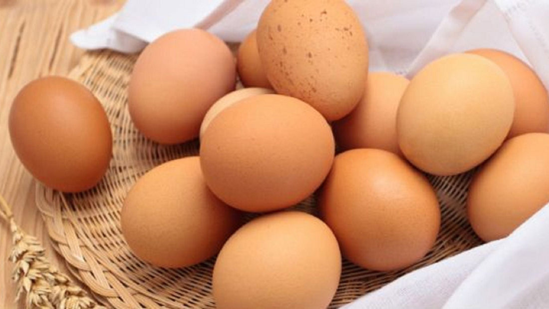 Morning Fresh Farms Eggs Why Collection Timing Changes Everything