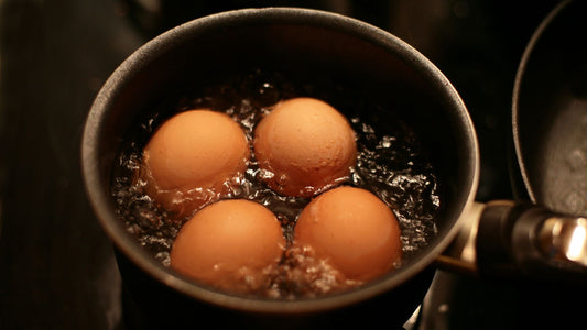From Nest to Kitchen: Our Daily Egg Collection Process