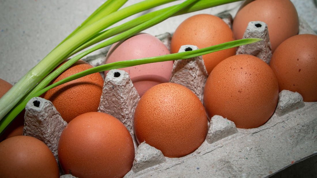 Meadow Raised Eggs