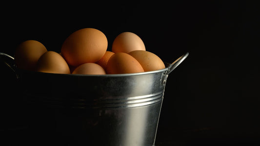 What Pasture Eggs Everson WA Farms Offer Local Families