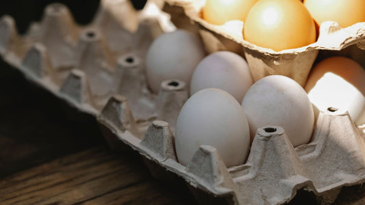 The Real Difference Nutritious Pasture Eggs Make for Your Health
