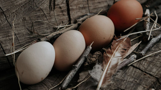 A Guide to Pacific Northwest Pasture Eggs and Why They Stand Out