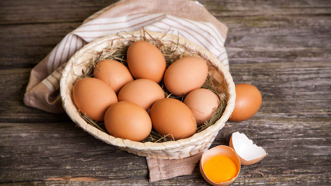 The Real Difference Nutritious Pasture Eggs Make for Your Health