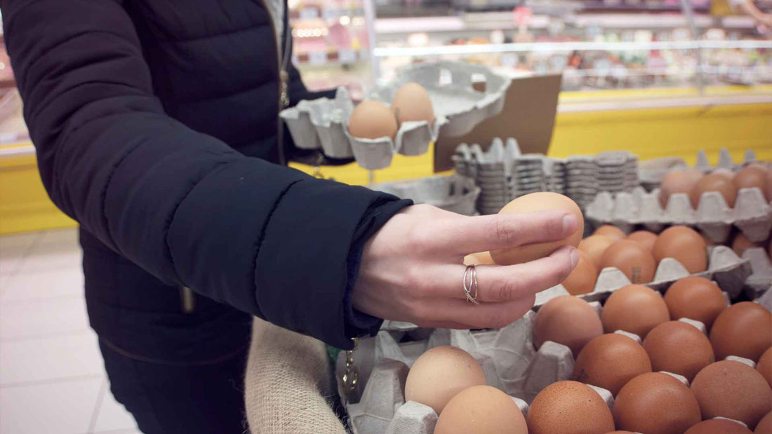 The Whole Food Egg What It Is and How to Choose One
