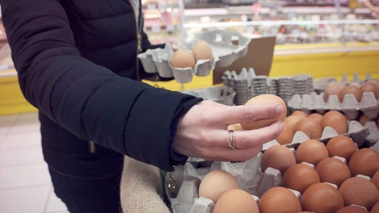 The Whole Food Egg What It Is and How to Choose One