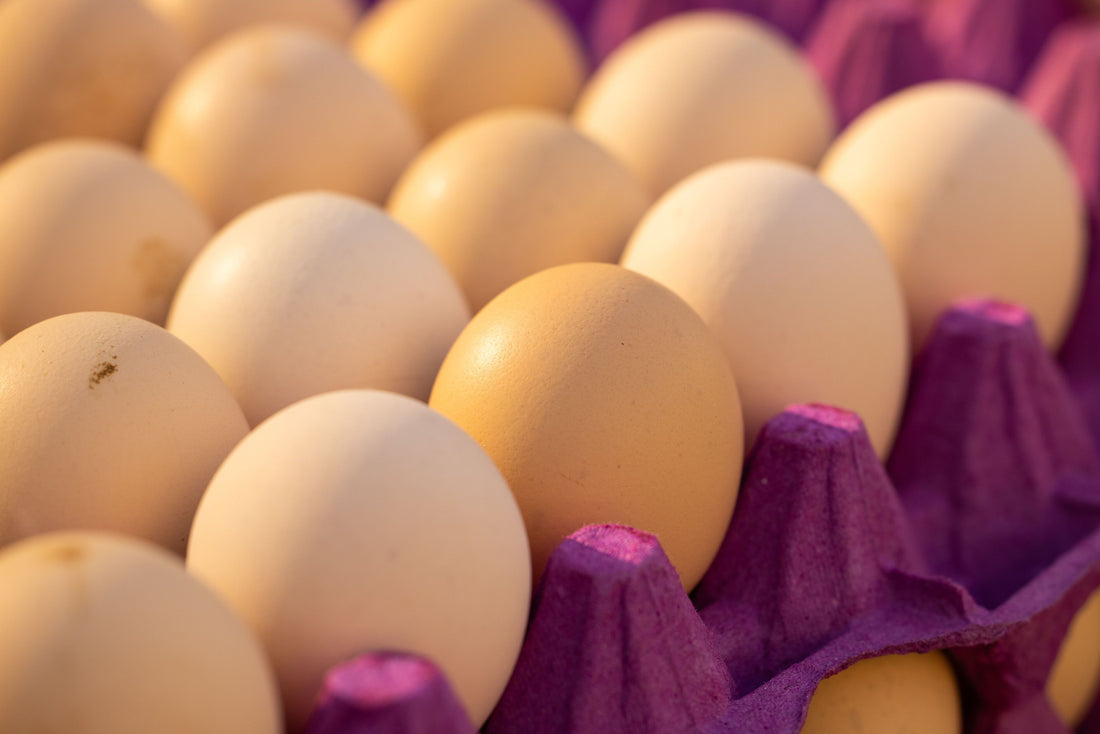 Local Farm Fresh Eggs: Why Distance Changes Everything