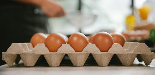 Western Washington farm egg