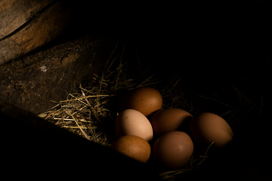 What Is a Pasture Raised Egg and Why It Actually Tastes Better