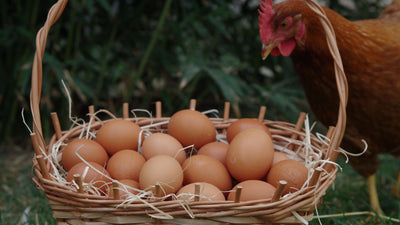 Farm image 4