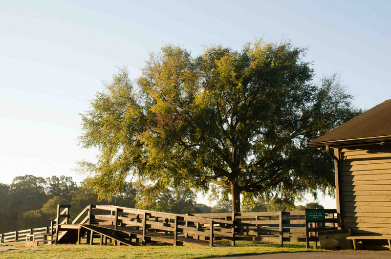 Farm main image